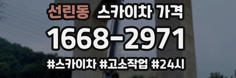 선린동 스카이차 가격