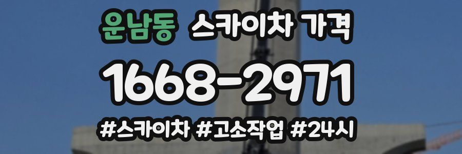 운남동 스카이차 가격