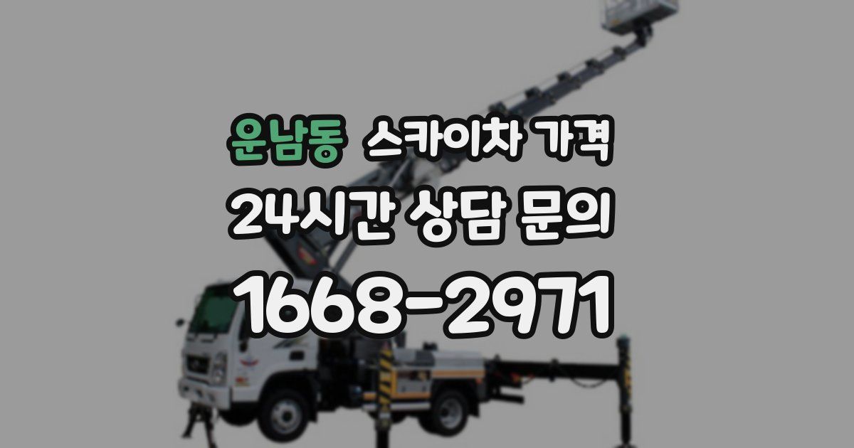 운남동 스카이차 가격