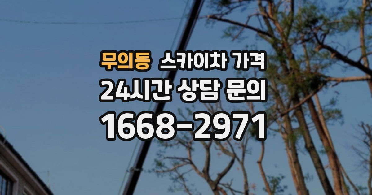 무의동 스카이차 가격