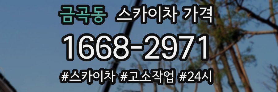 금곡동 스카이차 가격