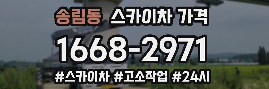 송림동 스카이차 가격