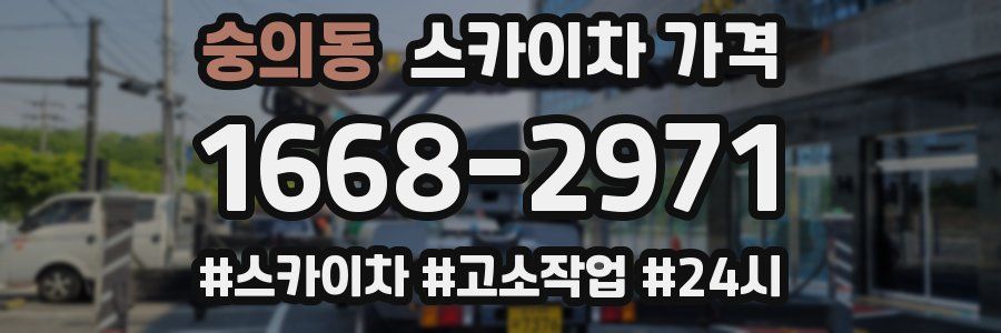 숭의동 스카이차 가격