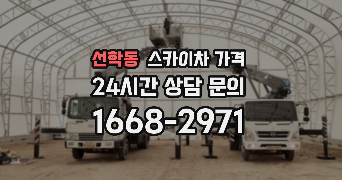 선학동 스카이차 가격