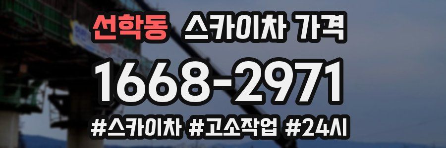 선학동 스카이차 가격