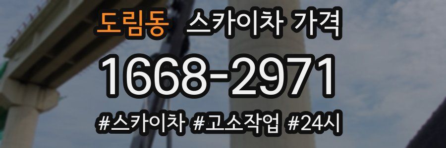 도림동 스카이차 가격