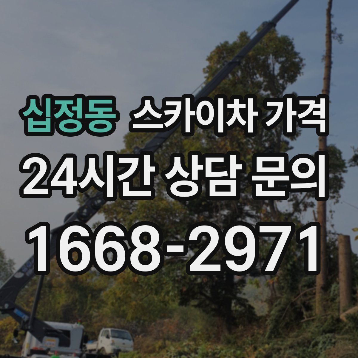 십정동 스카이차 가격