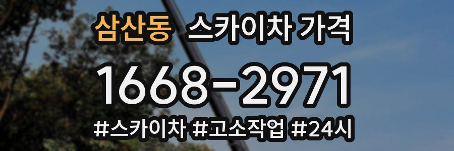 삼산동 스카이차 가격