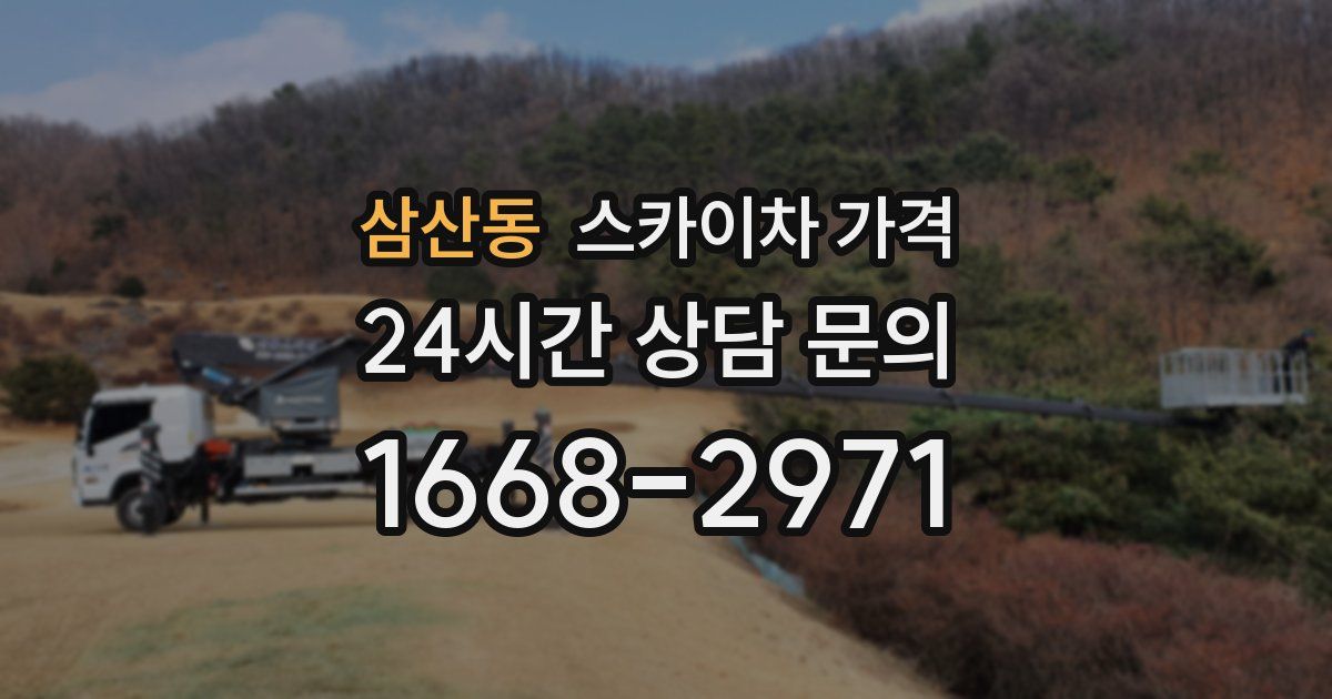 삼산동 스카이차 가격
