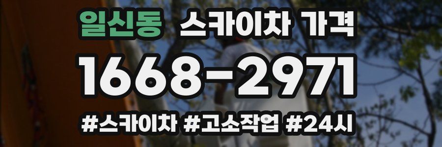일신동 스카이차 가격