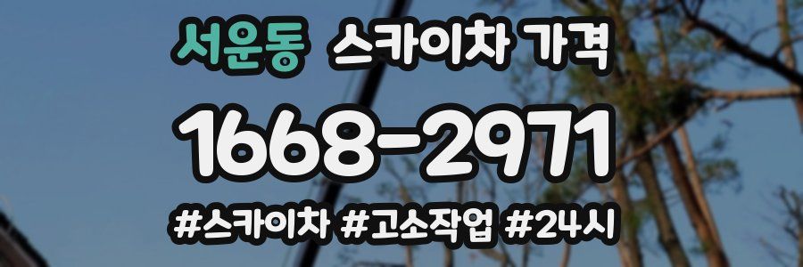 서운동 스카이차 가격
