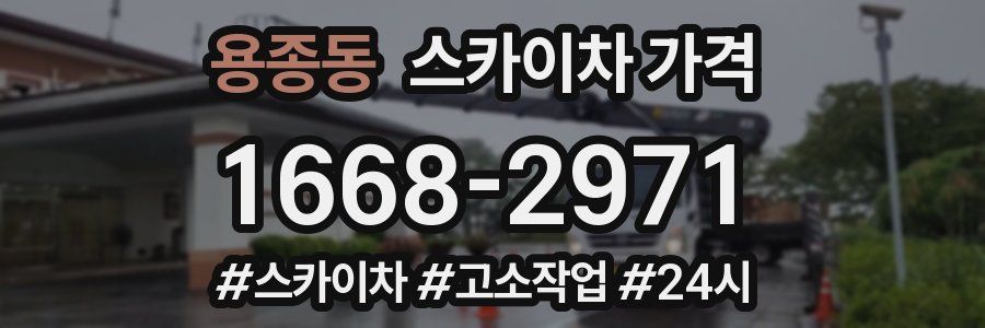 용종동 스카이차 가격