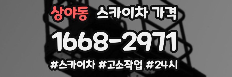 상야동 스카이차 가격