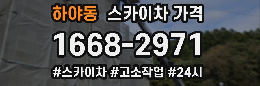 하야동 스카이차 가격