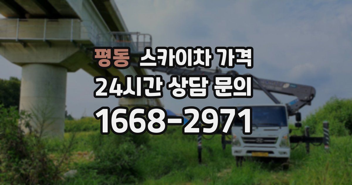 평동 스카이차 가격