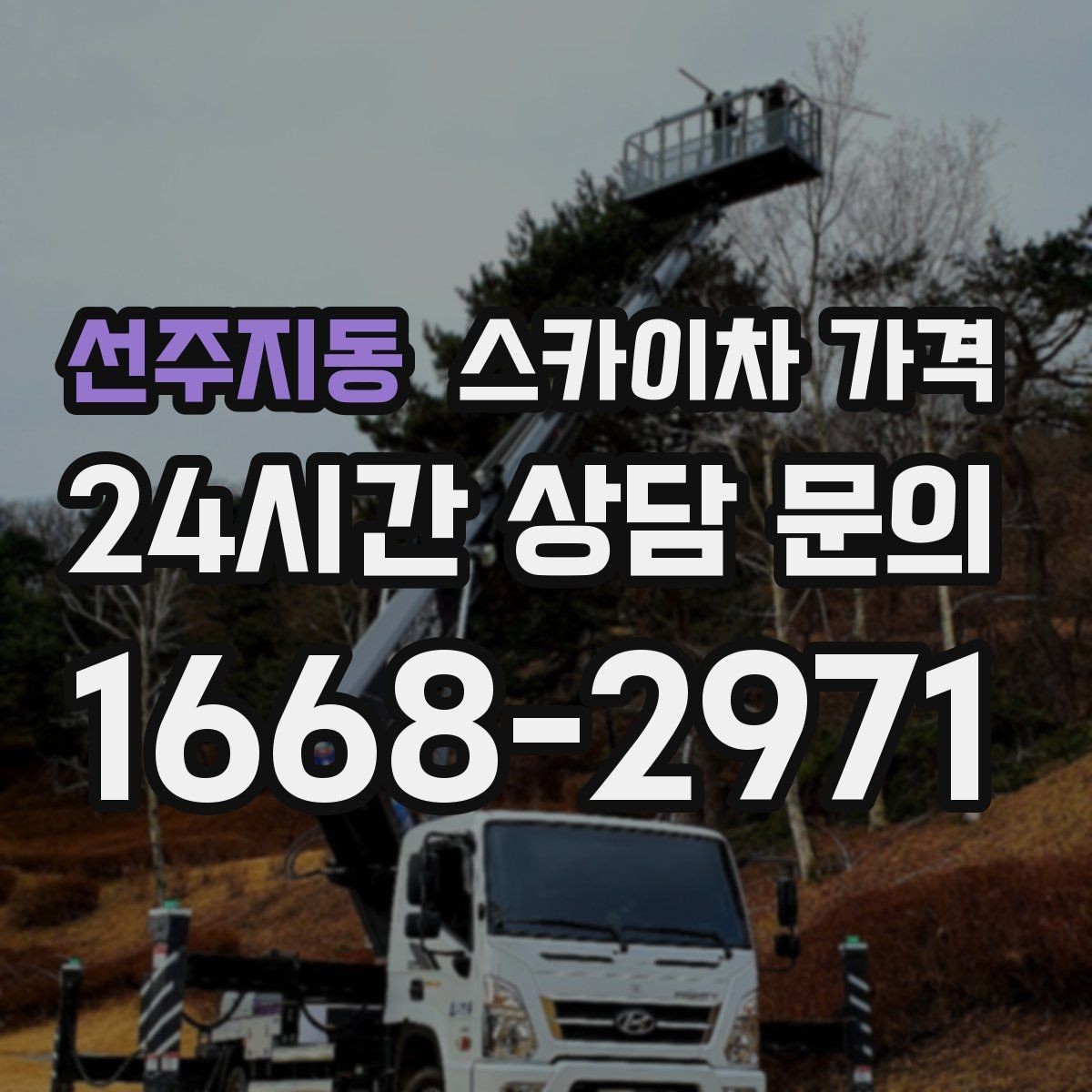 선주지동 스카이차 가격 현장 조건별 가격 포인트를 한 번에 정리