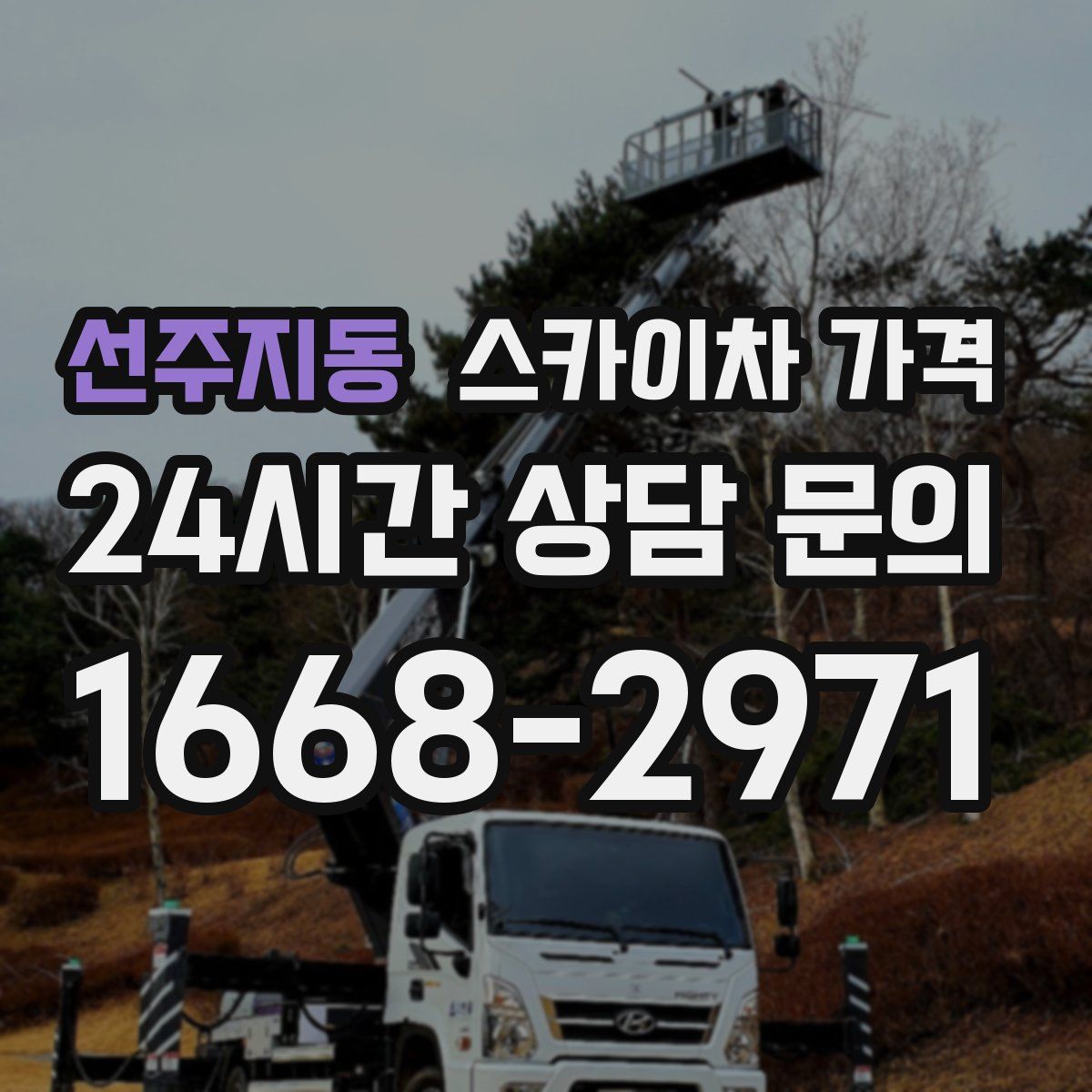 선주지동 스카이차 가격