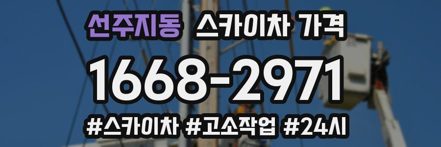 선주지동 스카이차 가격