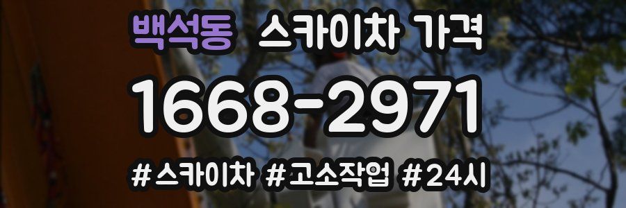 백석동 스카이차 가격