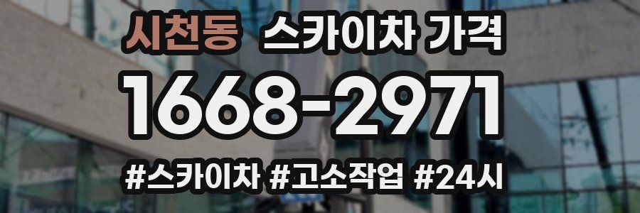 시천동 스카이차 가격