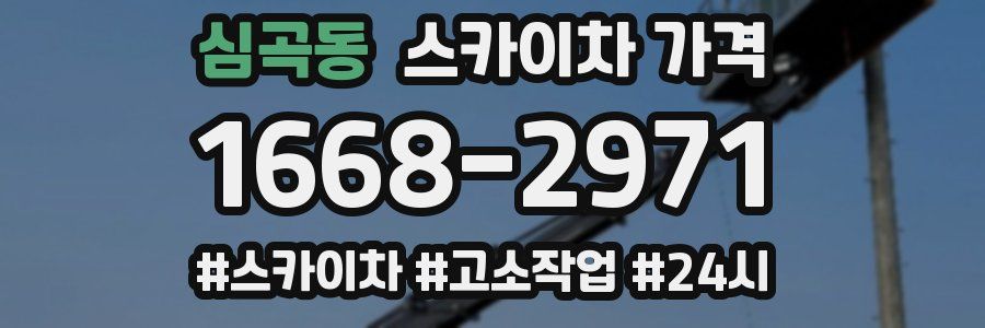 심곡동 스카이차 가격