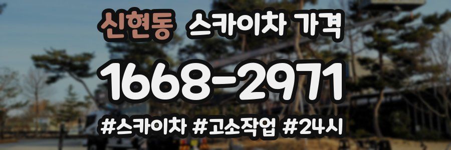 신현동 스카이차 가격