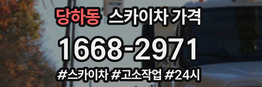 당하동 스카이차 가격