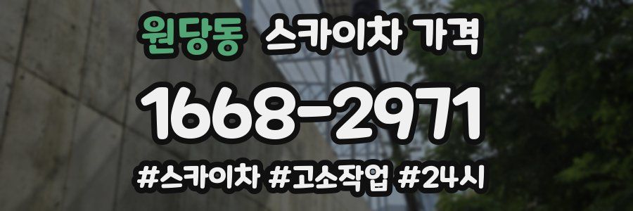 원당동 스카이차 가격