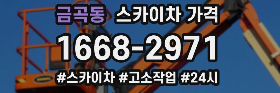 금곡동 스카이차 가격