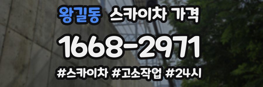 왕길동 스카이차 가격