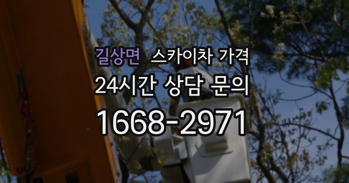 길상면 스카이차 가격
