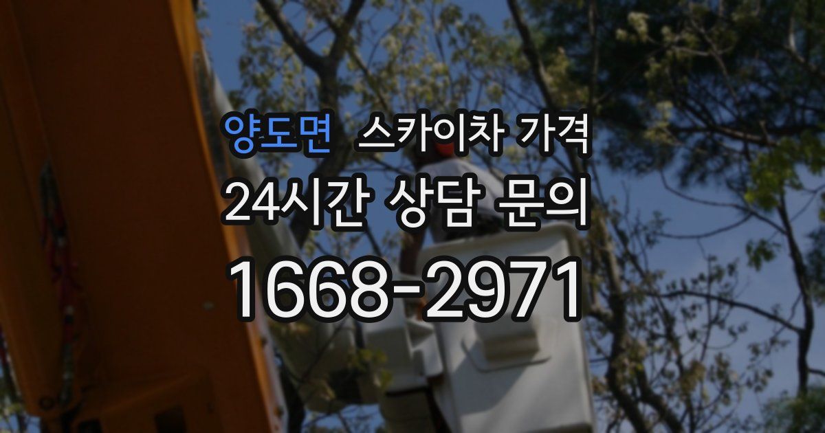 양도면 스카이차 가격