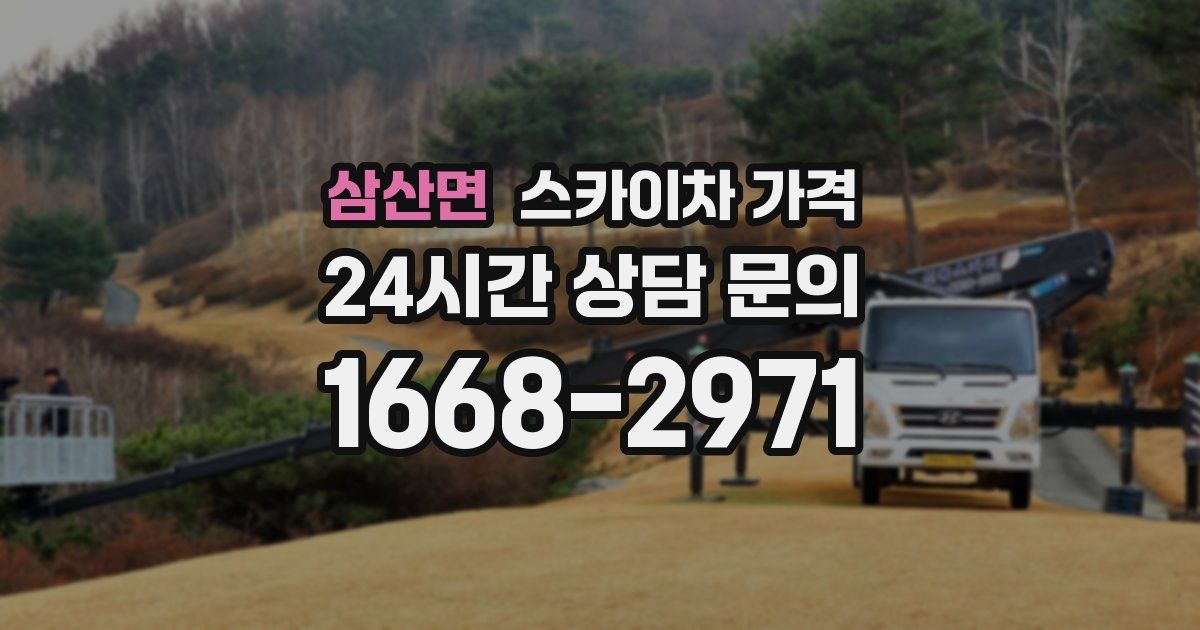 삼산면 스카이차 가격