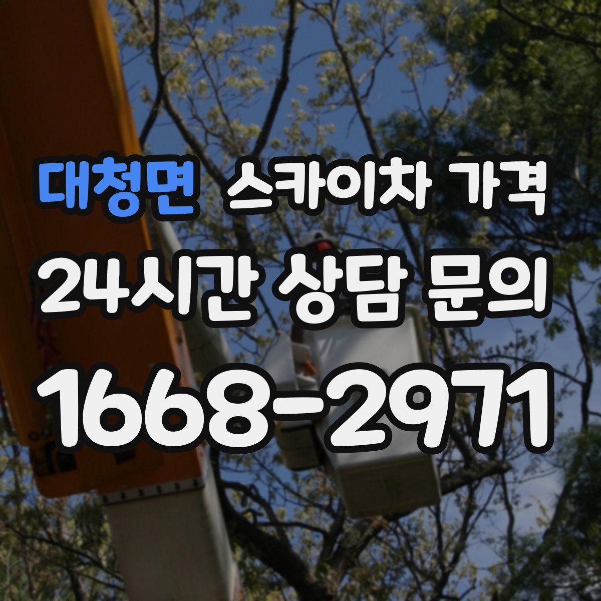 대청면 스카이차 가격