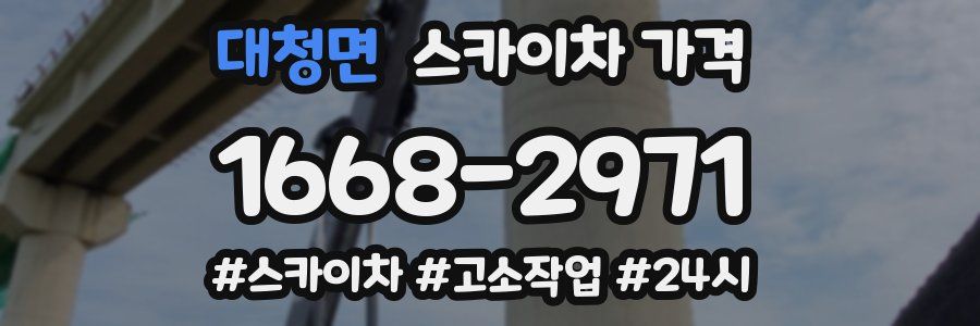 대청면 스카이차 가격