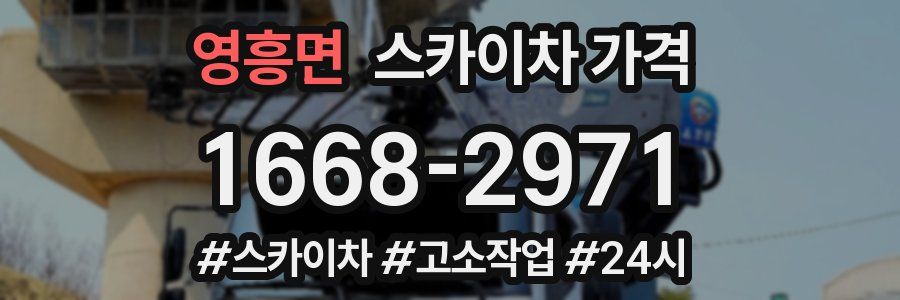 영흥면 스카이차 가격