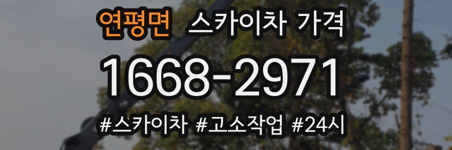 연평면 스카이차 가격