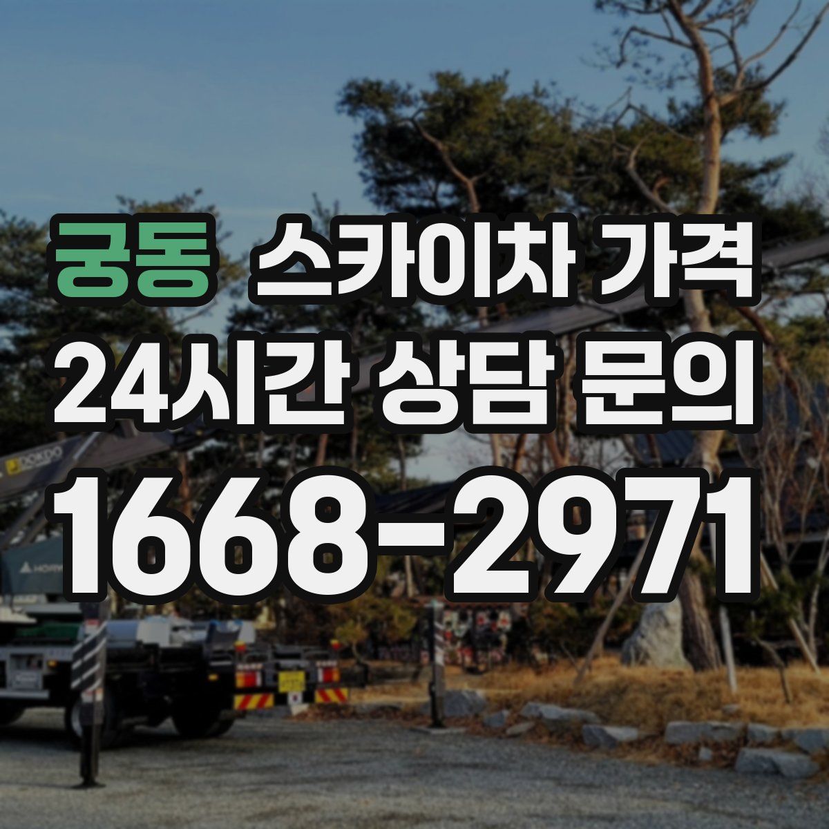 궁동 스카이차 가격