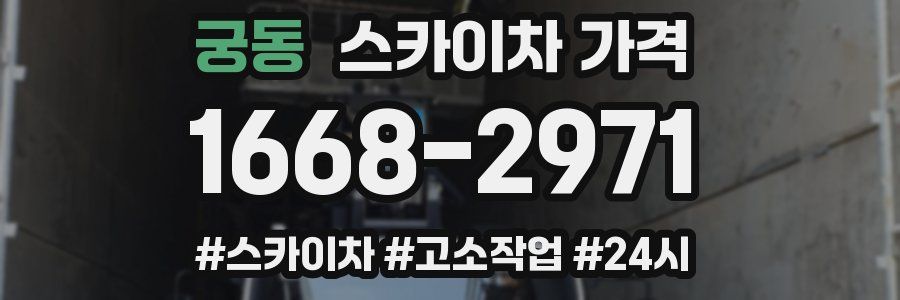 궁동 스카이차 가격