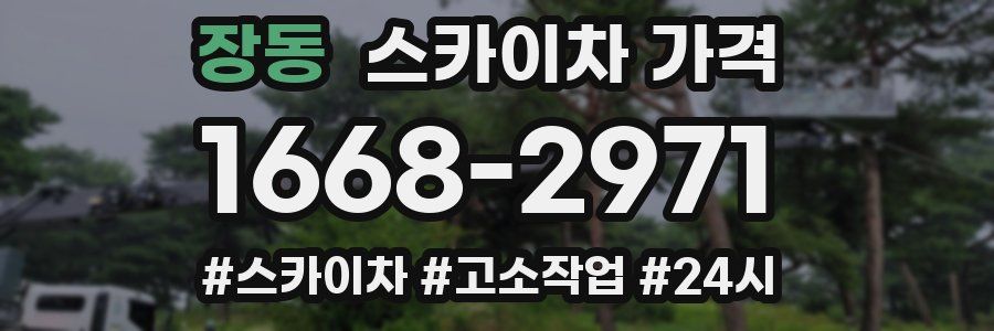 장동 스카이차 가격
