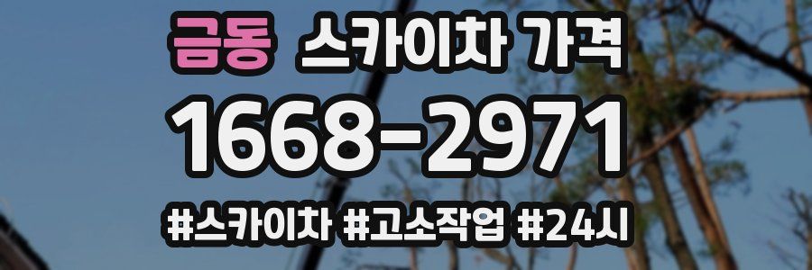 금동 스카이차 가격