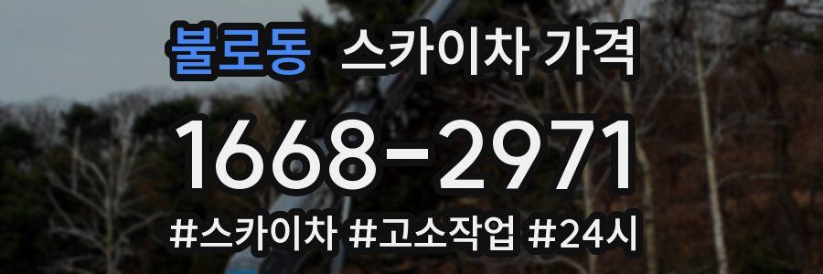 불로동 스카이차 가격