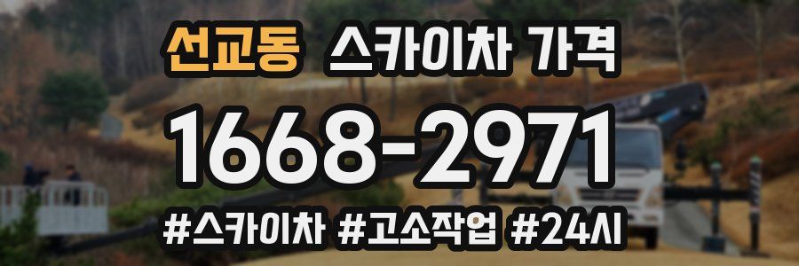 선교동 스카이차 가격