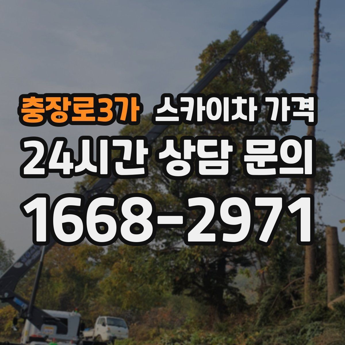 충장로3가 스카이차 가격 수목 전정은 작업 구역이 넓으면 달라질까
