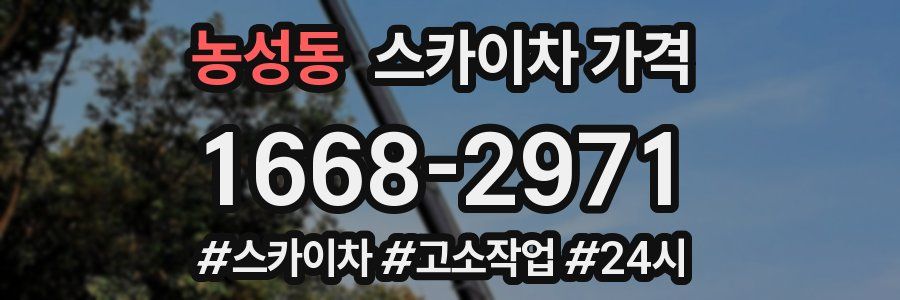 농성동 스카이차 가격