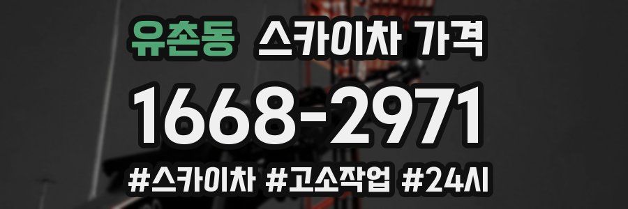 유촌동 스카이차 가격