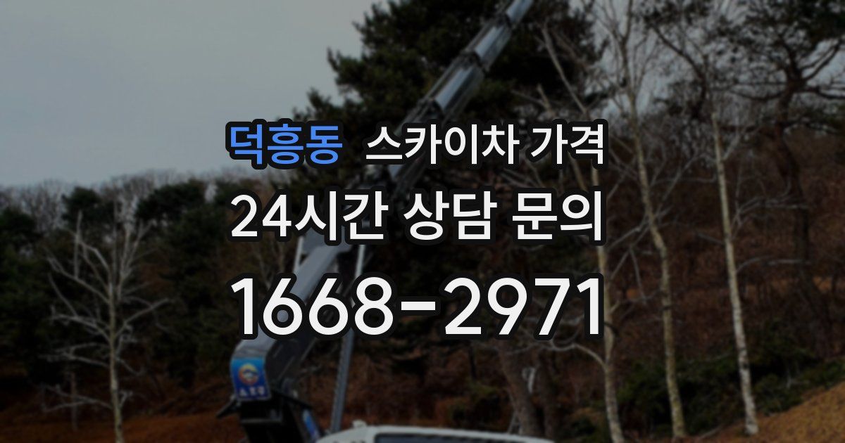 덕흥동 스카이차 가격