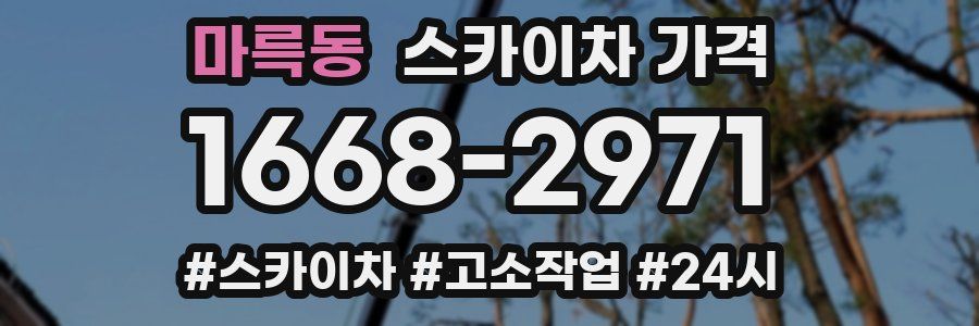 마륵동 스카이차 가격