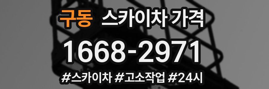 구동 스카이차 가격