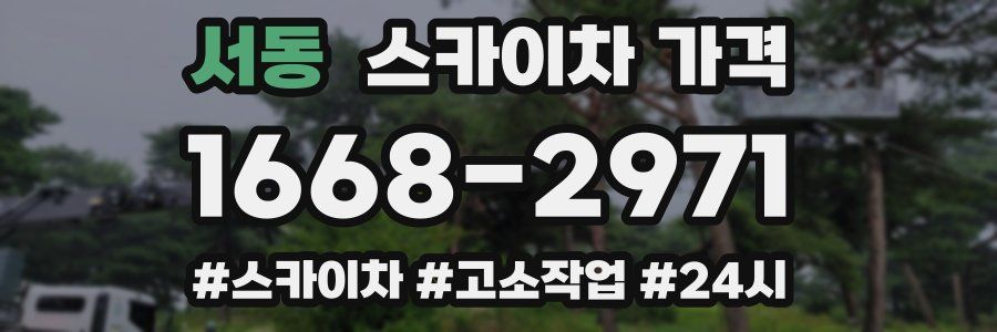 서동 스카이차 가격